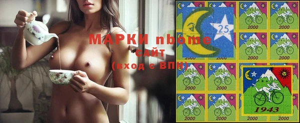 спайс Гусь-Хрустальный