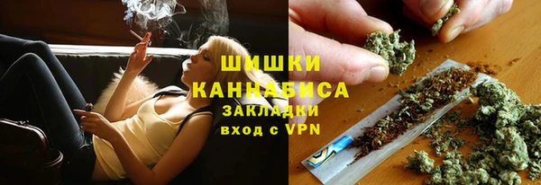 спайс Гусь-Хрустальный