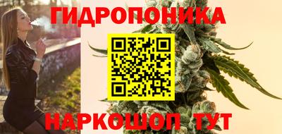 трава Кандалакша