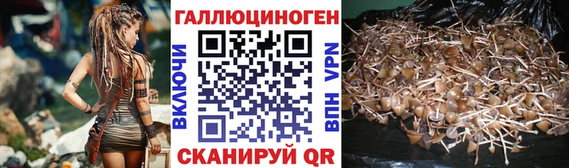 Галлюциногенные грибы ЛСД  как найти   mega сайт  Москва 