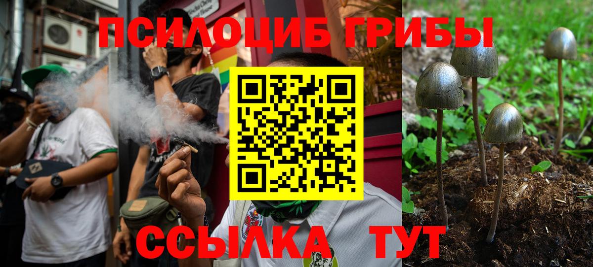 Псилоцибиновые грибы GOLDEN TEACHER  Вход с VPN  Москва  Галлюциногенные грибы Psilocybine cubensis 