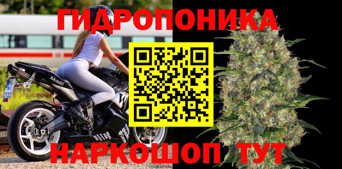 Конопля SATIVA & INDICA Москва